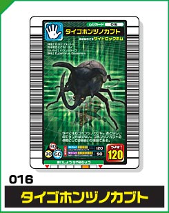 タイゴホンヅノカブト（016）［未確定］