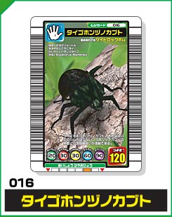 タイゴホンヅノカブト（016）［未確定］