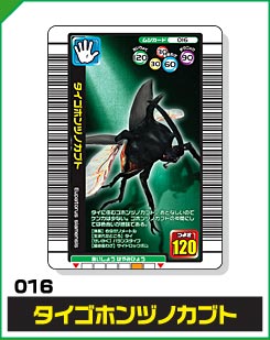 タイゴホンヅノカブト（016）［未確定］