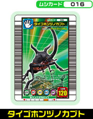 タイゴホンヅノカブト（016）［未確定］