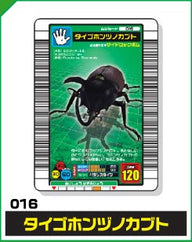 タイゴホンヅノカブト（016）［未確定］