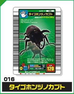 タイゴホンヅノカブト（016）［未確定］