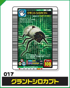 グラントシロカブト（017）［未確定］