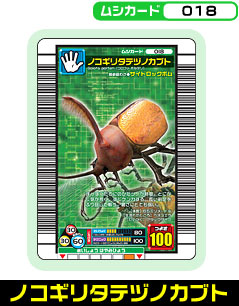 ノコギリタテヅノカブト（018）［未確定］