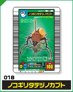 ノコギリタテヅノカブト（018）［未確定］