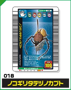 ノコギリタテヅノカブト（018）［未確定］