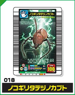 ノコギリタテヅノカブト（018）［未確定］