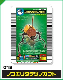 ノコギリタテヅノカブト（018）［未確定］
