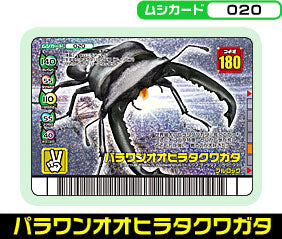 パラワンオオヒラタクワガタ（020）［銀レア］