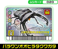 パラワンオオヒラタクワガタ（020）［銀レア］