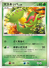 マスキッパ（005/013）［-］