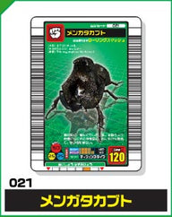 メンガタカブト（021）［未確定］