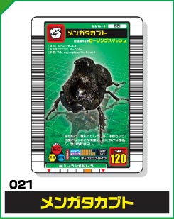 メンガタカブト（021）［未確定］