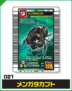 メンガタカブト（021）［未確定］
