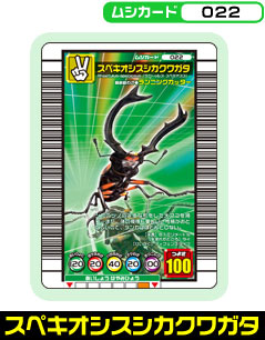 スペキオシスシカクワガタ（022）［未確定］