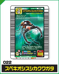 スペキオシスシカクワガタ（022）［未確定］