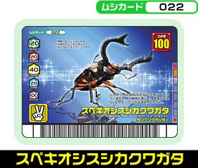 スペキオシスシカクワガタ（022）［未確定］