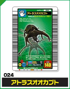 アトラスオオカブト（024）［未確定］