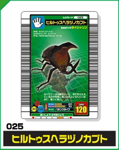 ヒルトゥスヘラヅノカブト（025）［未確定］