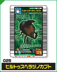 ヒルトゥスヘラヅノカブト（025）［未確定］