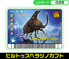 ヒルトゥスヘラヅノカブト（025）［未確定］