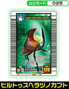 ヒルトゥスヘラヅノカブト（025）［未確定］