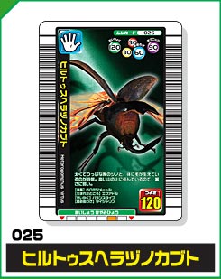 ヒルトゥスヘラヅノカブト（025）［未確定］