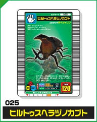 ヒルトゥスヘラヅノカブト（025）［未確定］