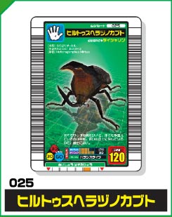ヒルトゥスヘラヅノカブト（025）［未確定］