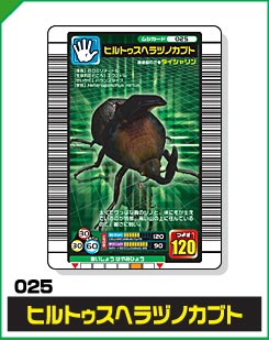 ヒルトゥスヘラヅノカブト（025）［未確定］
