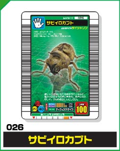 サビイロカブト（026）［未確定］