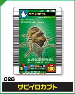 サビイロカブト（026）［未確定］