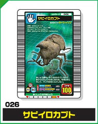 サビイロカブト（026）［未確定］