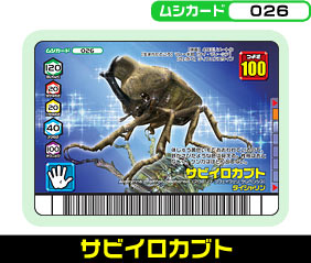 サビイロカブト（026）［未確定］