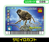 サビイロカブト（026）［未確定］