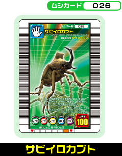 サビイロカブト（026）［未確定］