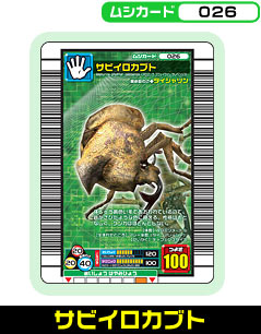 サビイロカブト（026）［未確定］