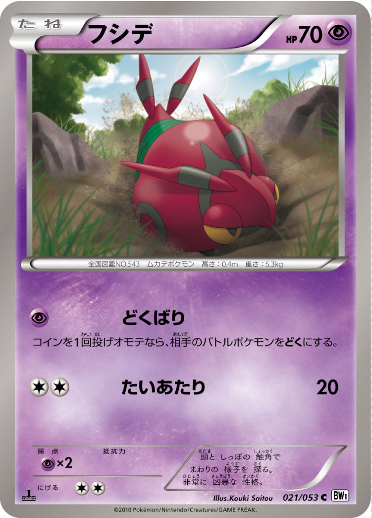 フシデ（021/053）［-］