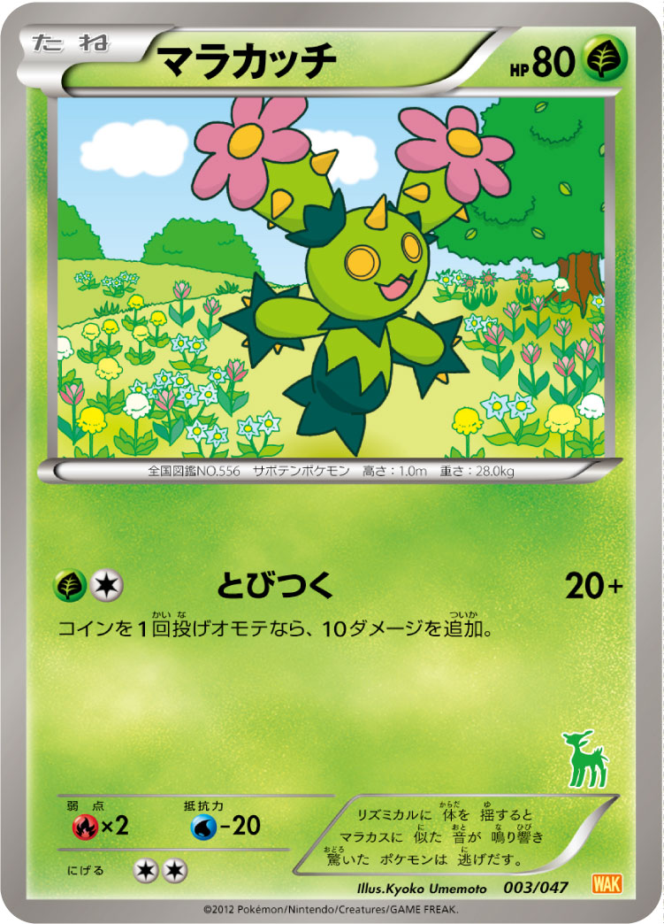 マラカッチ（003/047）［-］