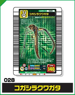 コガシラクワガタ（028）［未確定］
