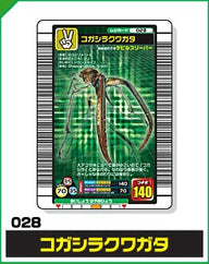 コガシラクワガタ（028）［未確定］