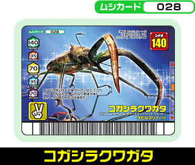 コガシラクワガタ（028）［未確定］