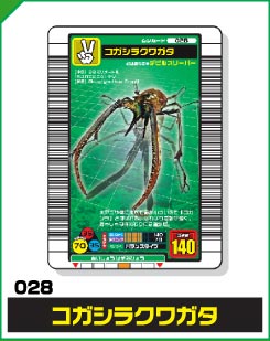 コガシラクワガタ（028）［未確定］