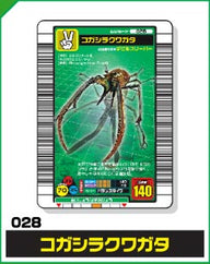 コガシラクワガタ（028）［未確定］