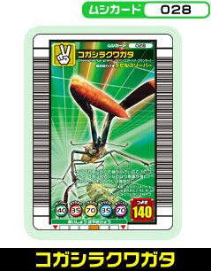 コガシラクワガタ（028）［未確定］