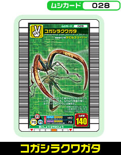 コガシラクワガタ（028）［未確定］