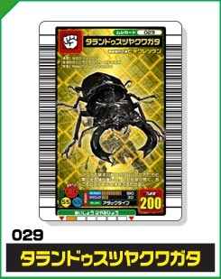 タランドゥスツヤクワガタ（029）［金レア］