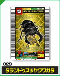 タランドゥスツヤクワガタ（029）［金レア］