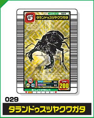 タランドゥスツヤクワガタ（029）［金レア］
