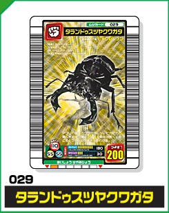 タランドゥスツヤクワガタ（029）［金レア］